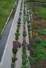 Special Projects: Concrete Raised rockery