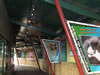 Paignton Zoo : Monkey House 0003