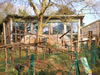 Paignton Zoo : Monkey House 0009