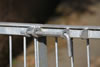 Steel Gates: for a courtyard - detail